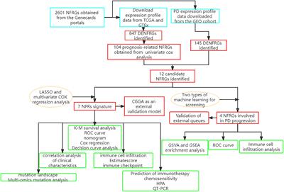Identification and validation of neurotrophic factor-related gene signatures in glioblastoma and Parkinson’s disease